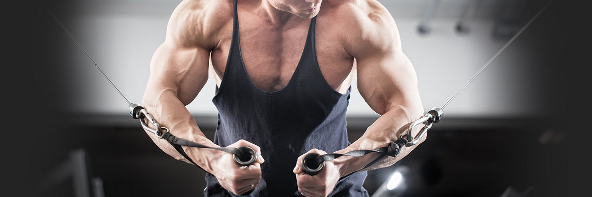 1500x500_Biceps