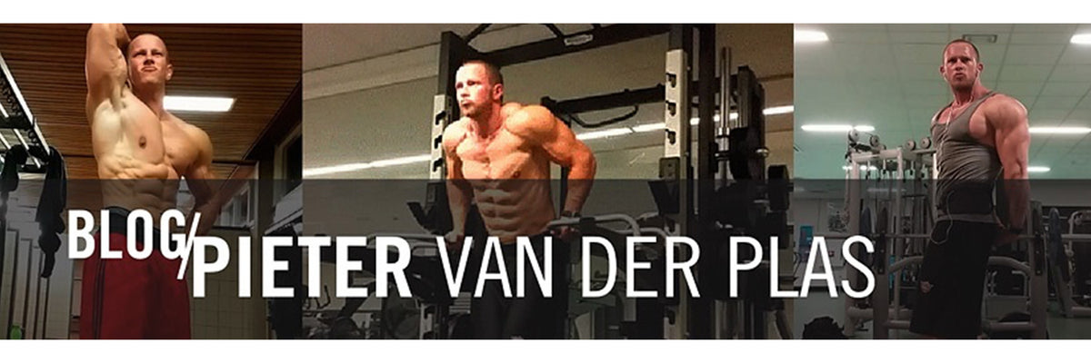 1500x500_Pieter-van-der-Plas
