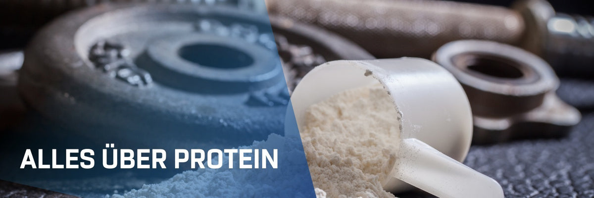Über Protein 1500x500