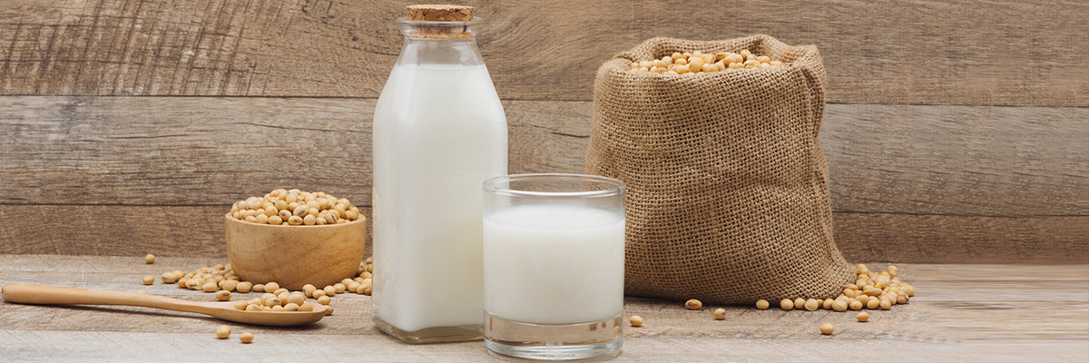 1500x500_Wat-is-het-beste-voedsel-voor-de-spieren--Sojamelk-vs-Magere-Melk.