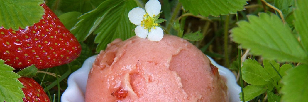 Joghurt-Erdbeer Eis 1500x500