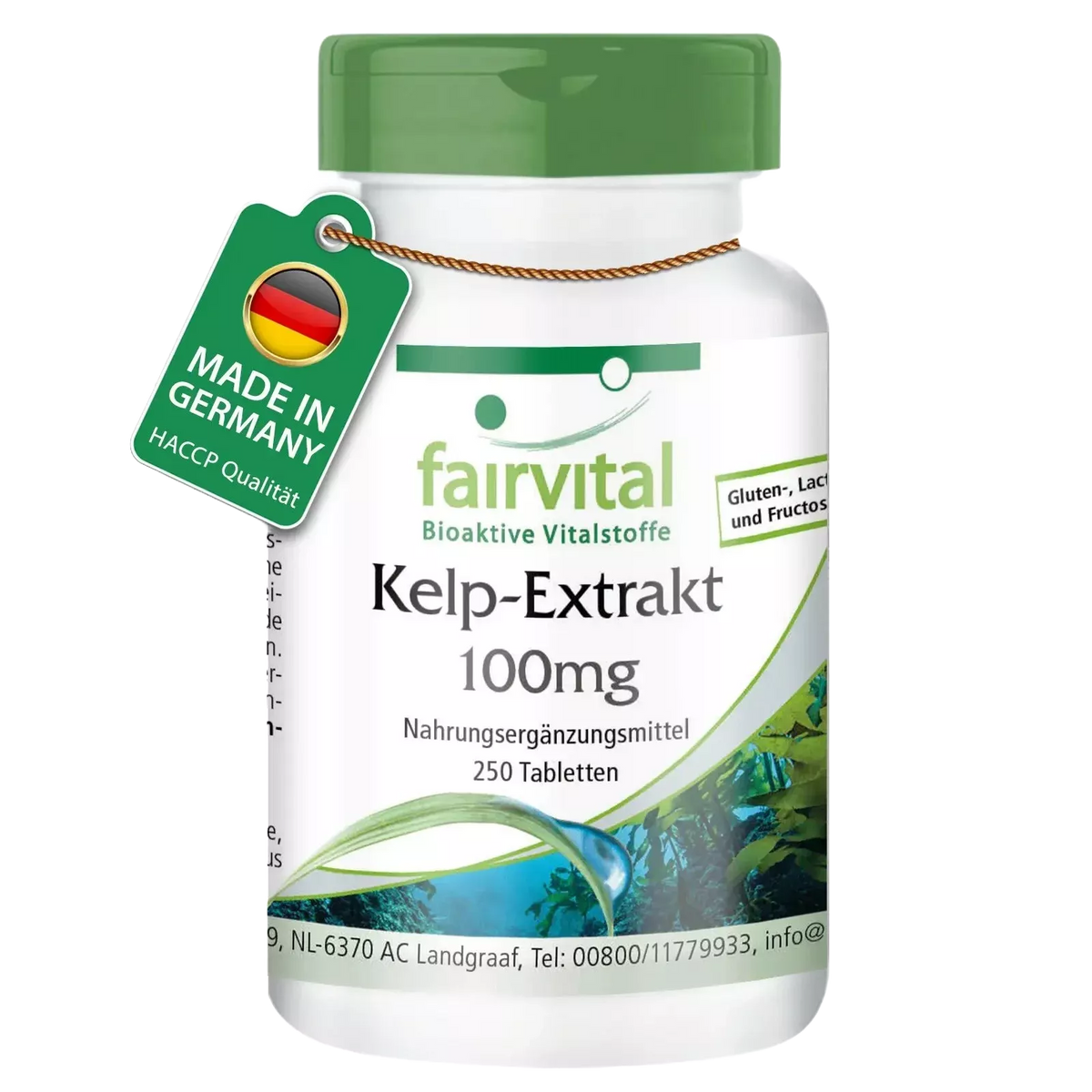 Kelp-Extrakt 100mg (250 Tabletten)
