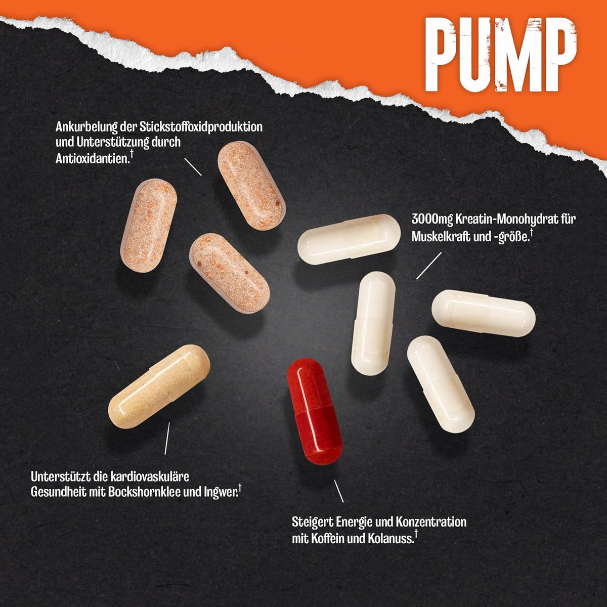 Animal Pump (30 Beutel)
