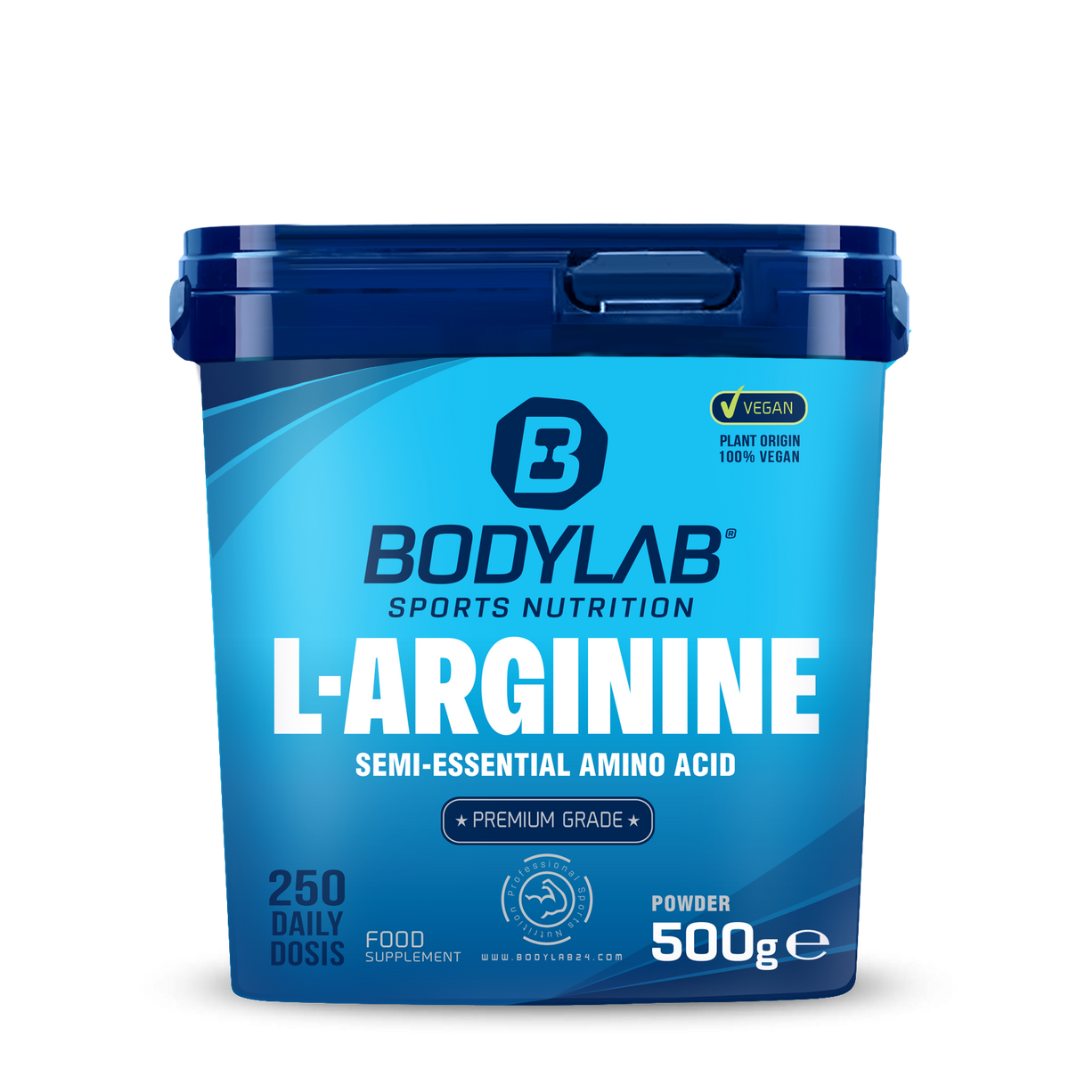 Arginine Powder (500g)