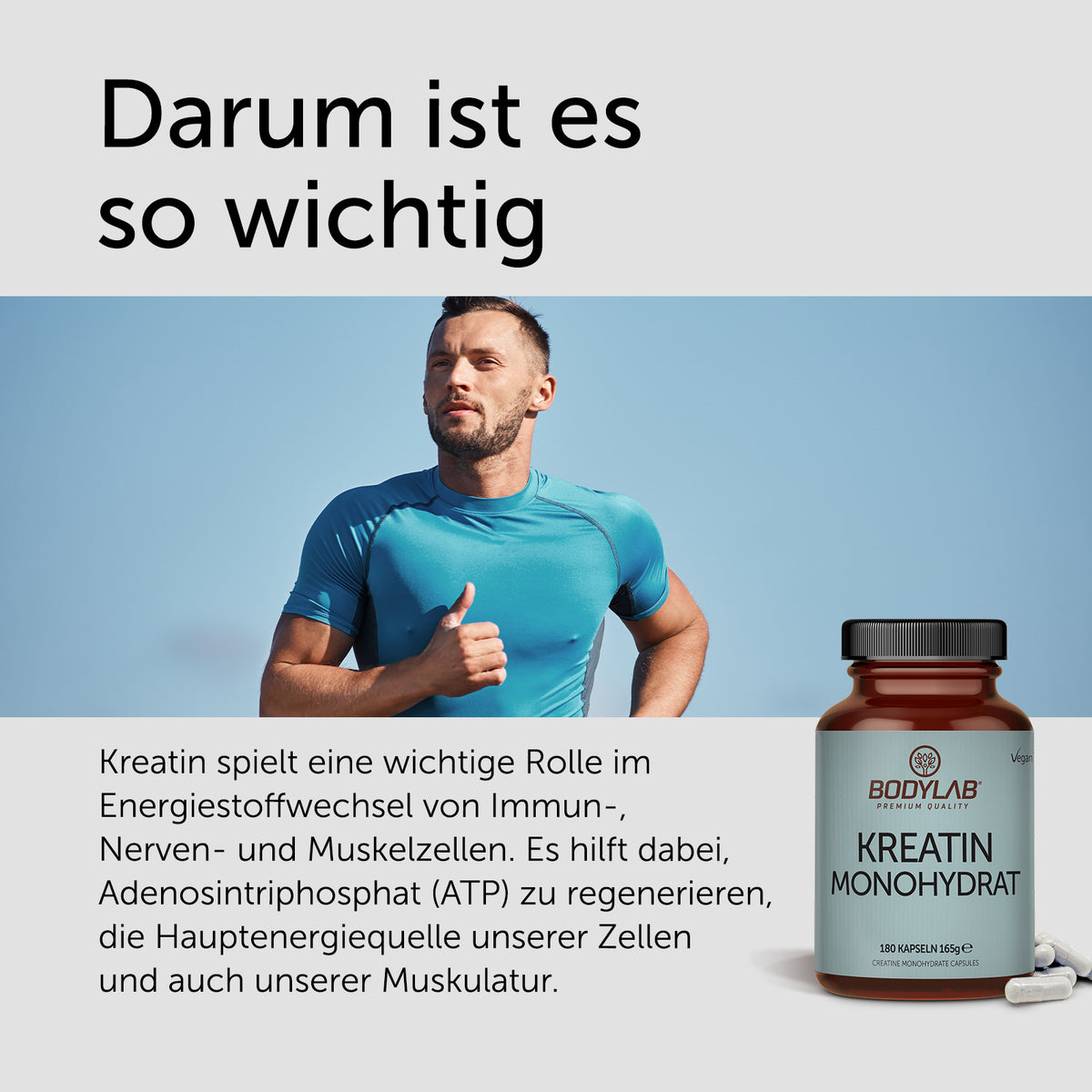 3 x Kreatin Monohydrat (3 x 180 Kapseln)