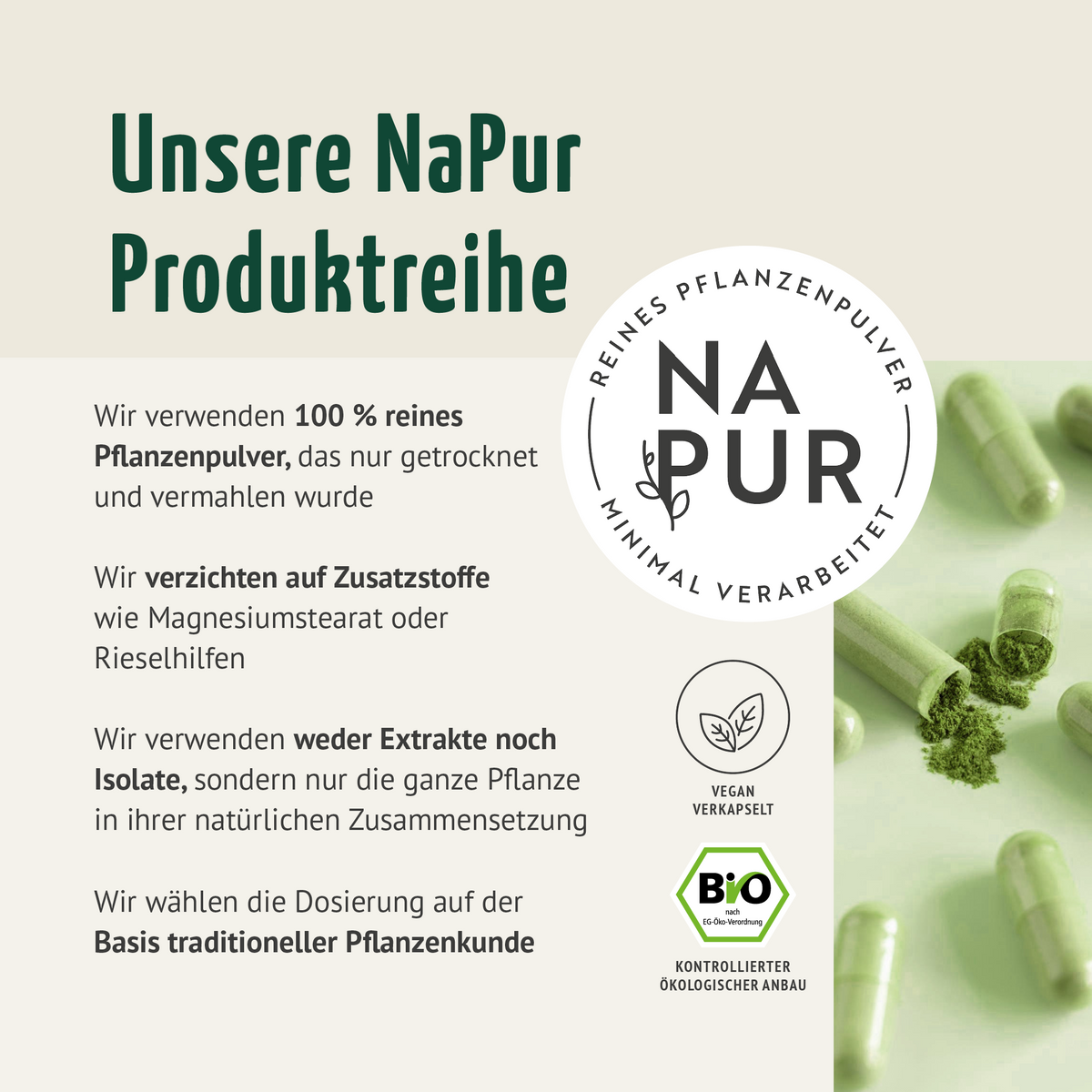 Brennnessel Kapseln Bio (160 Kapseln)