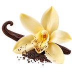 Bourbon Vanilla