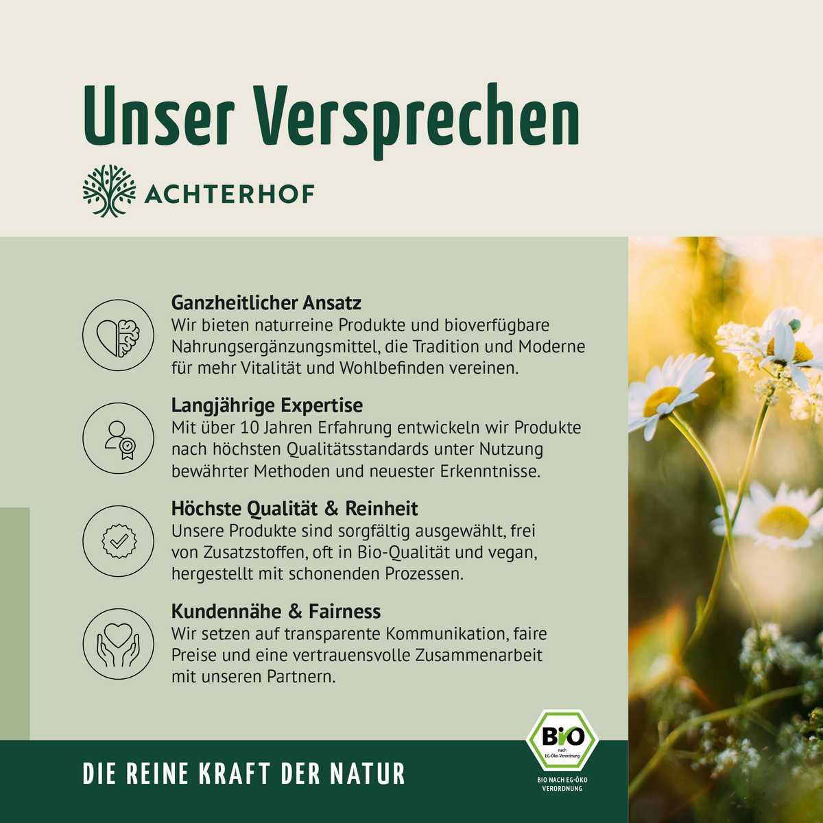 Bio Gerstengras Pulver (500g)