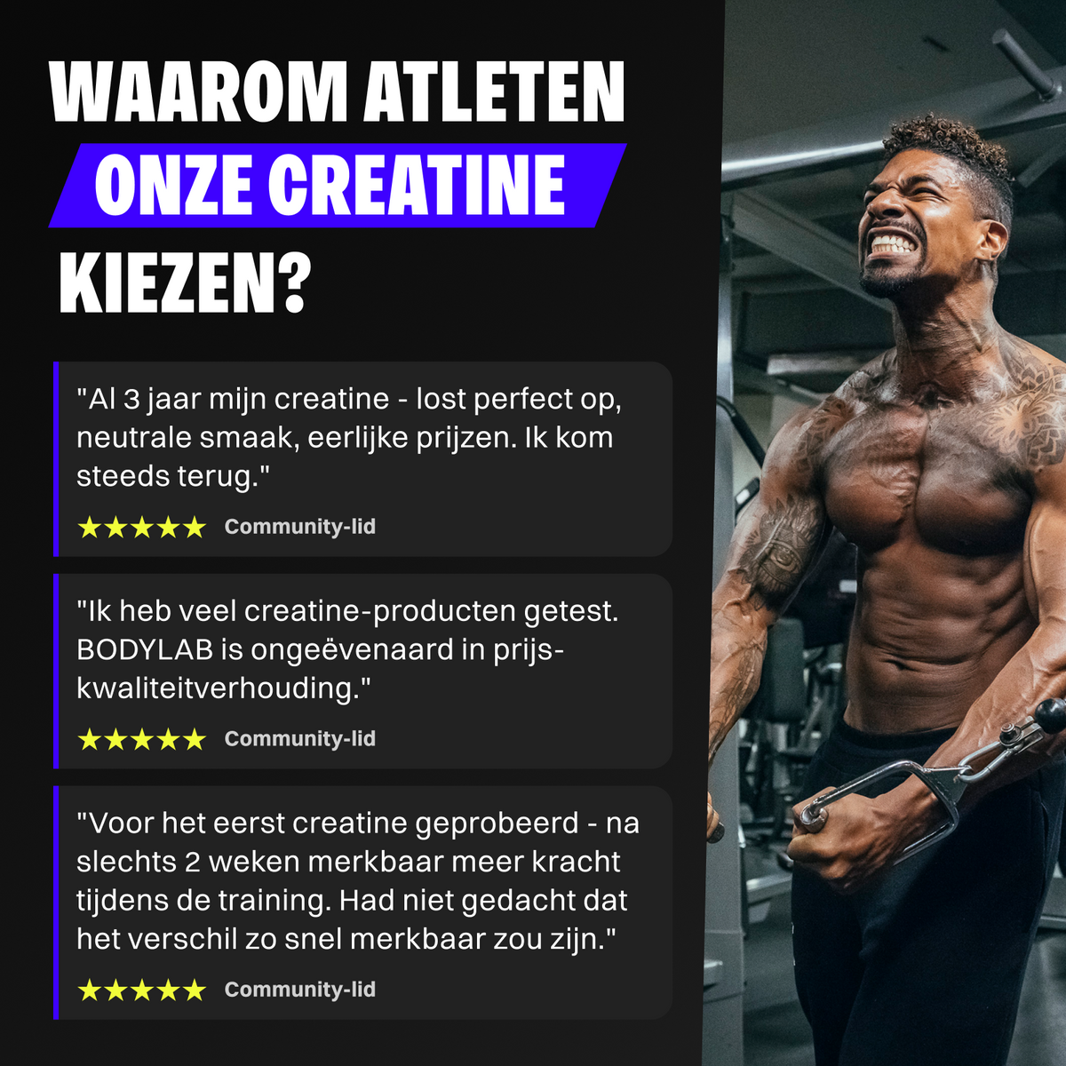 3 x Creatine Powder (500g)