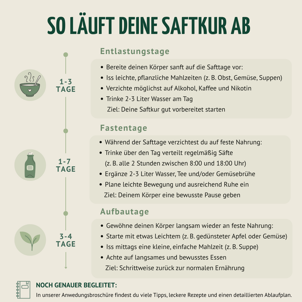 Kräuterwunder Bio Saftkur 1-7 Tage (6 Flaschen pro Tag)