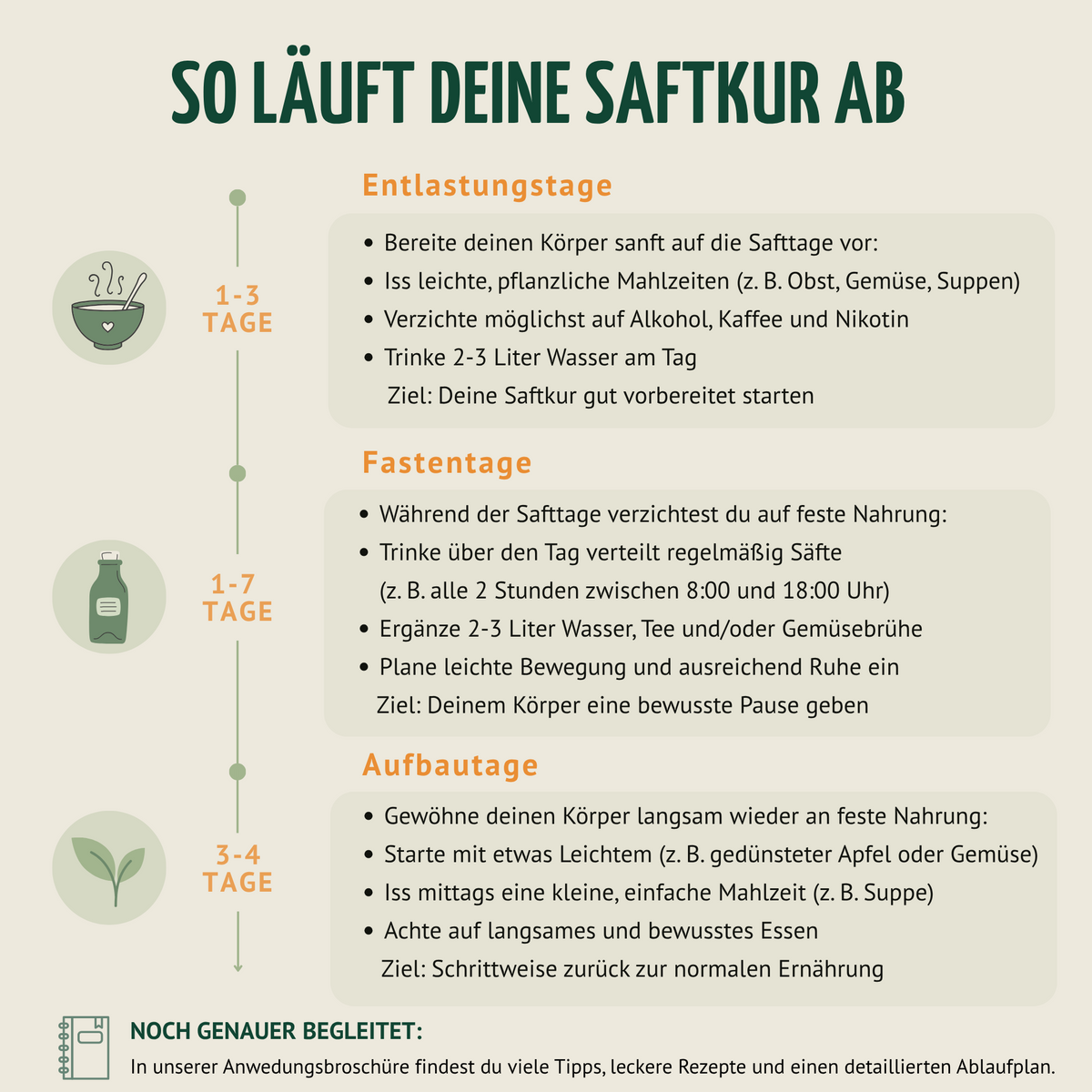 Saftzeit Bio Saftkur 1-7 Tage (6 Flaschen pro Tag)